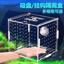 Extra-large isolated net tank isolated box fish oven cultivation partition cultivation of ornamental shrimp medium-type breeding young