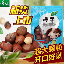 Northeast Opening Dazzelnut 2021 Fresh Nuts USA Northeast specialties Hazelnut Fried Raw Fresh Non-Wild