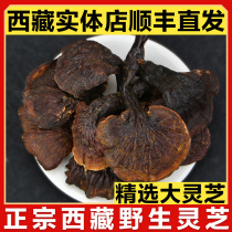 Tibet Rinzhi Wild Large Lingzhi Red Lingzhi Dry Goods 500g Black Lingzhi large Lucid Lucid and Gift Boxes