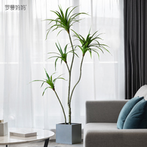 Roman Mama Large Emulation Millennium Wood Potted Room Living Room Living-room Living-green Plant Mattail Iron Decoration Pendulum