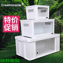 CM climbing pet reptile feeding box Tortoise lizard Hedgehog snake Hamster cage Hermit crab Acrylic insulation tank basin PVC