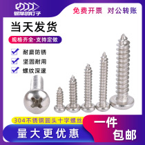Round Head Self-tapping Screw 304 Stainless Steel Cross Head Tap M2M2 3M2 6M3M3 5