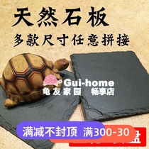 Reptile tortoise stone plate plate rock plate grinding nail tortoise lizard gougong stone plate natural mat