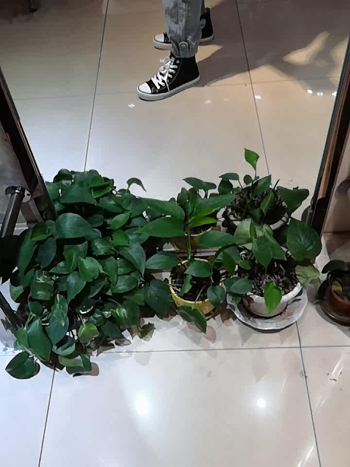 Фото отзыва