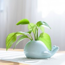 Qiwei dormitory vase dried flower retro creative whale elephant celadon small vase home hydroponic ceramic ornaments