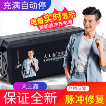 Taiwan Bell original electric car battery charger 48v60v20ah72v original quality forest glory