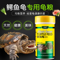 Avocado feed tortoise chameleon special turtle feed turtle food turtle feed crocodile turtle feed turtle food