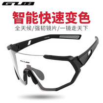 GUB Discoloration Polarized Professional Riding Glasses Windproof Day And Night Dual-use Wind Mirror Road Mountain Bike Men And Women