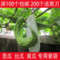 Special Paper Bag Set Silk Melon bag Bitter Melon Bagging Cucumber Green Melon Guagua Protection Bag Anti-Insect-proof Water-proof