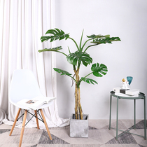Nordic ins simulation plant decoration landing large fake green plant indoor living room potted ornaments Net red turtle back tree