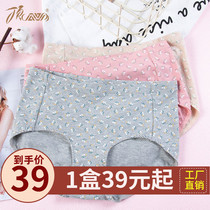 Top croak panties ladies high waist briefs color cotton print close belly bottom pants sexy cotton pants top melon melon