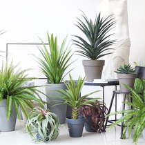  Sicily simulation green plant big series green leaf potted hotel lobby villa model room decoration decoration bonsai