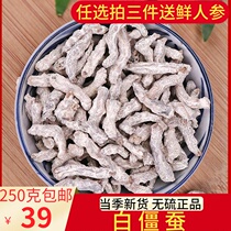 White Bombyx Mori Chinese herbal medicine 250g silkworm dry sky worm ginger silkworm ginger silkworm grinding silkworm powder non-500g