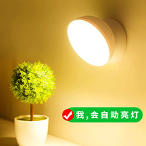 Wanhuo human body induction LED night light Infrared wardrobe cabinet light USB charging magnetic entrance through the corridor wall light