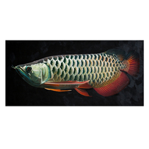 Su Zhangfeng Longfish Series Realistic Boutique Hand-painted Oil Painting