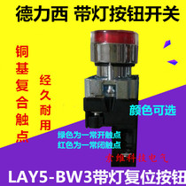 China Dresy button switch with light button LAY5-BW3 green 1 often open red 1 often closed XB2