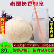 Taste fresh Thai imported milk coconut coconut 8 fresh seasonal tropical fruit coconut old coconut