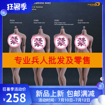 PHICEN TBLeague1 6 Headless steel bone female prime body S01A S04B S07C S10D Spot