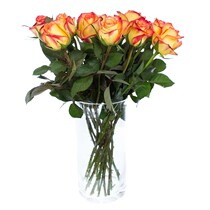 Jinhui rose orange rose two-color rose bouquet family flower arrangement office flower delivery