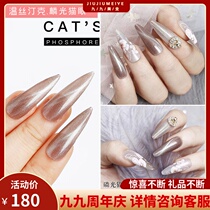 2019 New popular color temperature of the red light phosphorescing cat eye glue nail magnet small set of nail Nail Polish glue