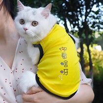 Cat Cat Clothes Mess Up Personality Creative Cat Clothes Vest Style Autumn Winter Funny Creativity Public Cat Handsome short