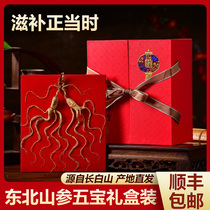 Ginseng Long White Mountain Precious Ginseng Gift Boxed Wild Mountain Ginseng Dry Forest Lower Ginseng Shifting Mountain Ginseng Five Treasures Non-Fresh Ginseng