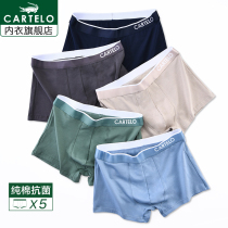 Cardile crocodile briefs mens pure cotton antibacterial breathable boxers Teen solid color mens boxer shorts slits