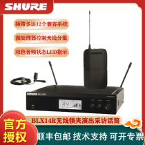 Shure Schure BLX14R WL93 WL185 wireless lead clip performance stage interview microphone microphone