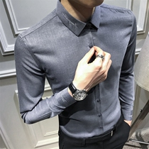 Autumn shirt mens long-sleeved Korean casual embroidery fashion mens slim-fit shirt business trend inch clothes gray tide