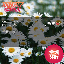 The foreign chamomile.