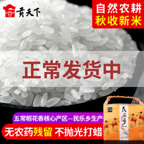Jiu Pin Northeast Minle Township Wuchang Daohuaxiang No. 2 Rice 2 5kg Long-grained Japonica Rice Northeast Rice New Rice