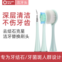 Household calculus remover for brush head Electric calculus cleaning head toothbrush cleaning brush head 6635 special