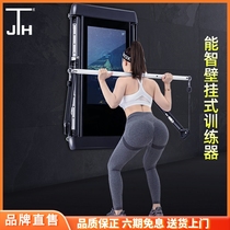 Korea JTH comprehensive training equipment fitness equipment multi-function machine home wall flying bird strength training