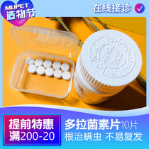 American Dolomin slices kitty Puppy mites Mite Scabs Mites Creep Mites Drug Germination Paradise