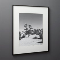 A4 new green branch aluminum alloy gallery photo frame simple model acid-free mounting with collection protection grade black silver