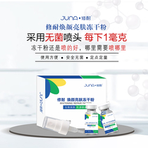 Radiant skin and skin freeze-dried powder brightens skin tone moisturizes skin improves skin elasticity