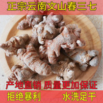 Authentic Yunnan Wenshan washed spring Sanqi Wenshan Tianqi each head counts enough dry without hat Sanqi head