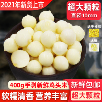 (Pure Hand Peeling 2021) Suzhou Chicken Head Rice Fresh Super 10mm Large Granules 400g Frozen Gorgon Seed