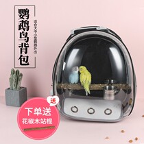 Large medium and small pet parrot out backpack transparent bird cage large portable cabin transport box Gray machine Xuanfeng tiger skin