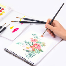 Hook-line Pen Wolf Chinese painting gouache solid watercolor hand-painted childrens painting comics brush set Black