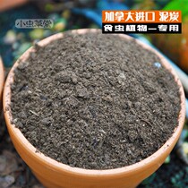 Pure peat Canada imported small Cordyceps grass carnivorous plant special hair nutrient soil universal peat soil