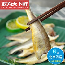 12-15 1 catties Beijing flash delivery to head small yellow croaker thin ice frozen small yellow croaker seafood and aquatic products