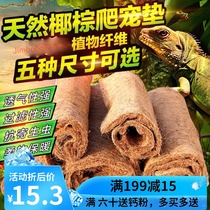 Reptile supplies Coconut palm mat Tortoise Leopard tortoise Star tortoise lizard dust-free moisturizing climbing pet box landscaping Natural brown mat