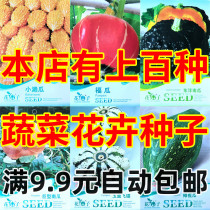Xiaoshu melon Fougua Oriental Pumpkin Giant Pumpkin Jade Plate UFO Olive Melon Superman Pumpkin Seed Vegetable Seeds