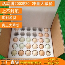 Pearl Cotton Eggs to 30 Loaded Anti-Shock Foam Packaging Special Consignment Grass Native Eggs Express Packaging Box box