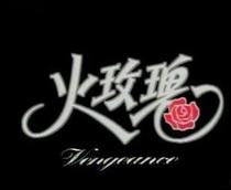 Support DVD Fire Rose Wen Zhaolun Wen Bixia 40 episodes 3 discs (bilingual)