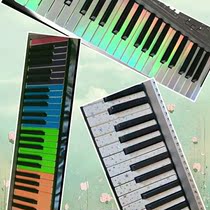 The electronic keyboard membrane of the electronic keyboard