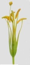 Big head lily core yellow high quality lily core large size silk mesh flower material stocking flower handmade DIY