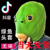 Shakyung Same Greenfisherman Head Fisherman Mask Green Head Mask Weird Fish Mask Fish Head