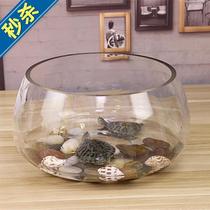 Multi-function office fish tank Open small transparent desktop feeding turtle Mini glass tank table m plus